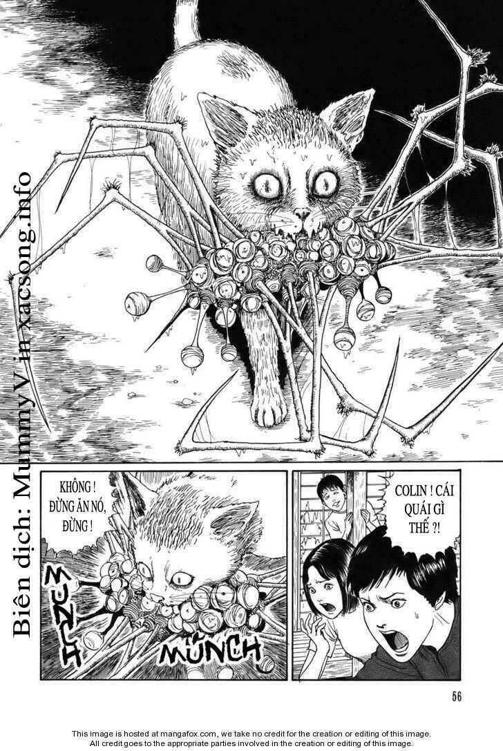 new voices in the dark chapter 2 20