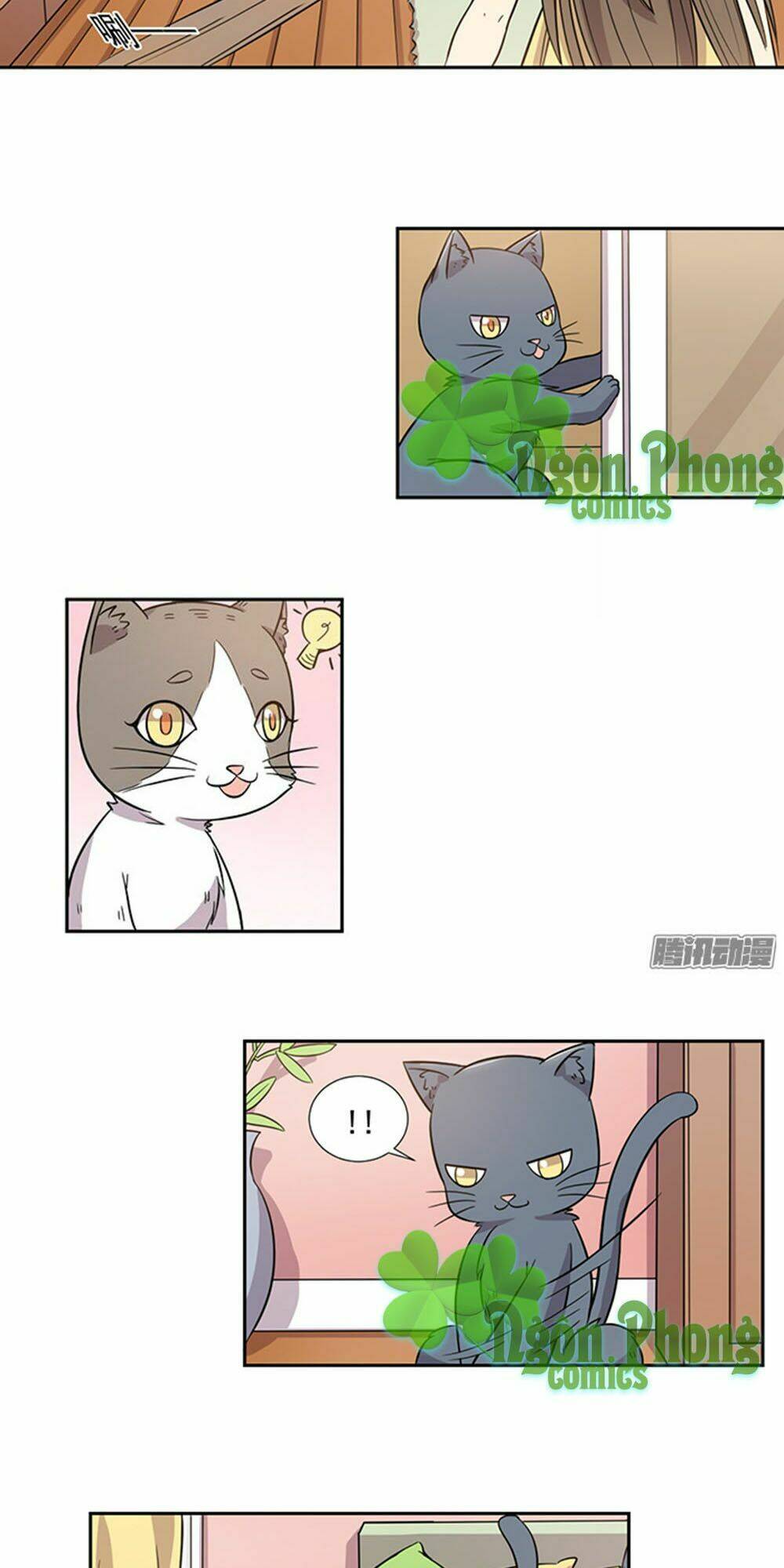 hai chú mèo totem chapter 27 10