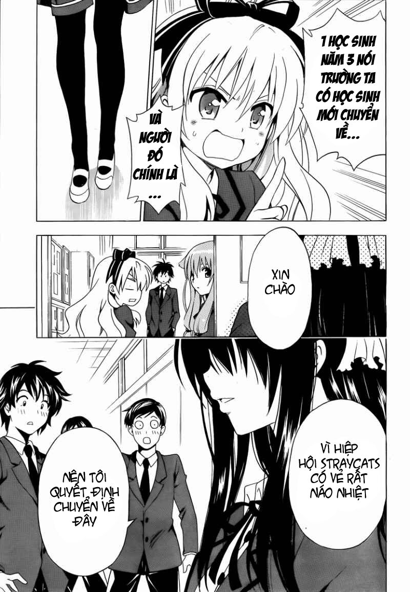 mayoi neko overrun! chapter 8 43