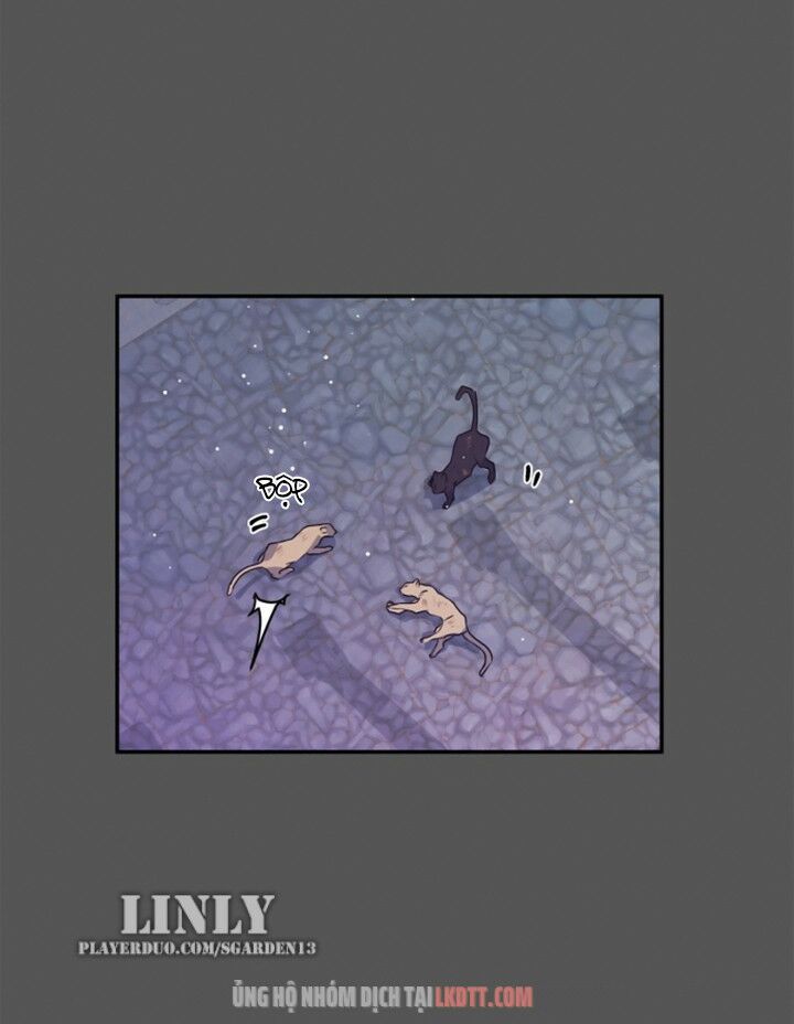 tôi đang nuôi dưỡng một con quái thú chapter 25 33