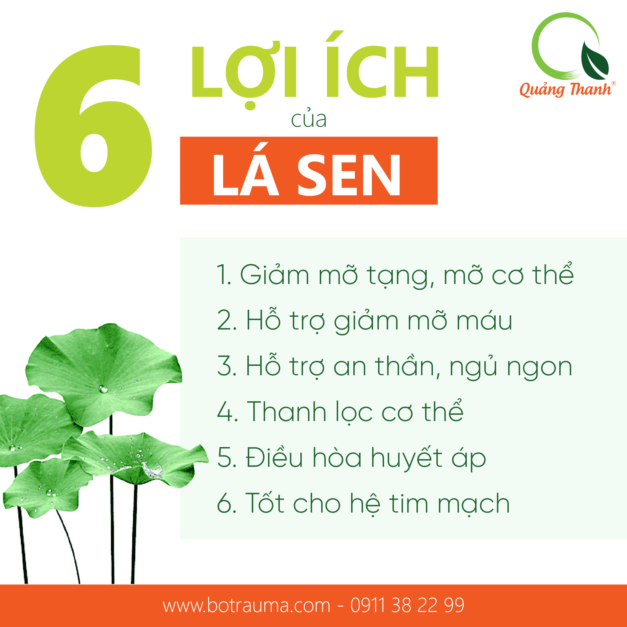 [CHÍNH HÃNG] Bột Lá Sen Quảng Thanh 100% Nguyên Chất Sấy Lạnh - Ngủ ngon, giảm mỡ máu, giảm cân  - Gói 50 gr