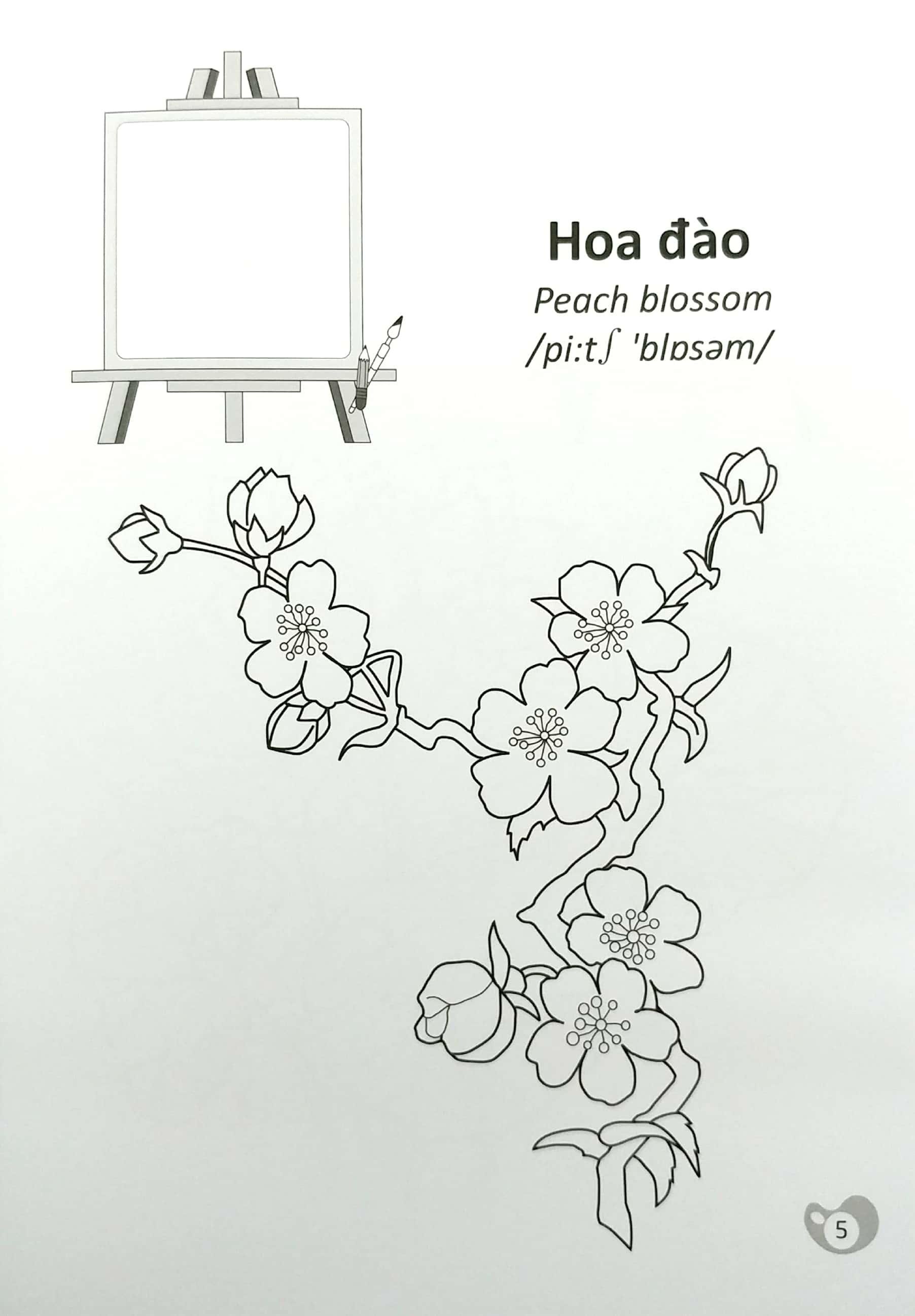 Tô Màu Chúng Mình Tập Làm Họa Sĩ - 3-6 Tuổi - Các Loài Hoa