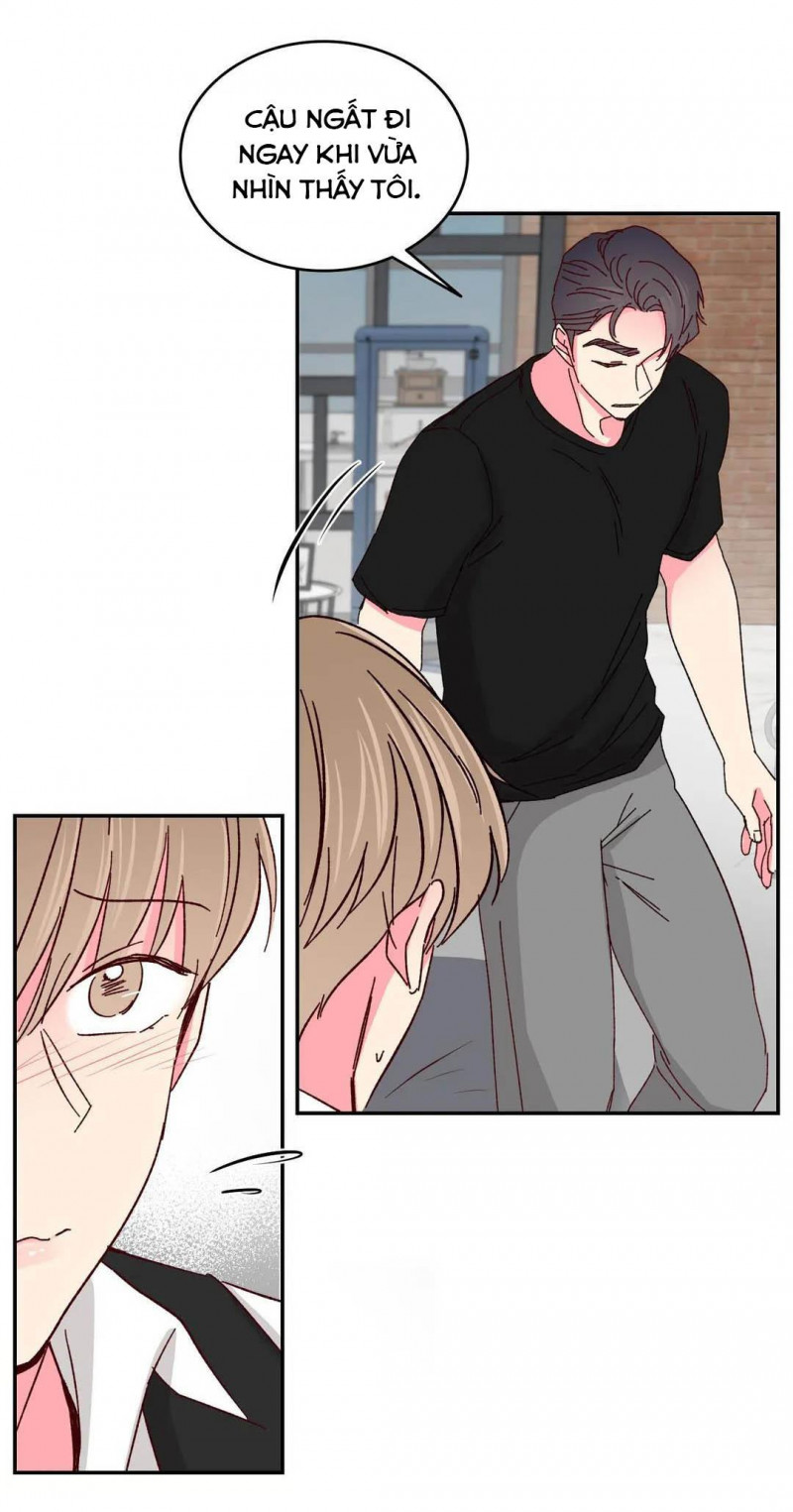 món tráng miệng của sếp tổng chapter 45 7