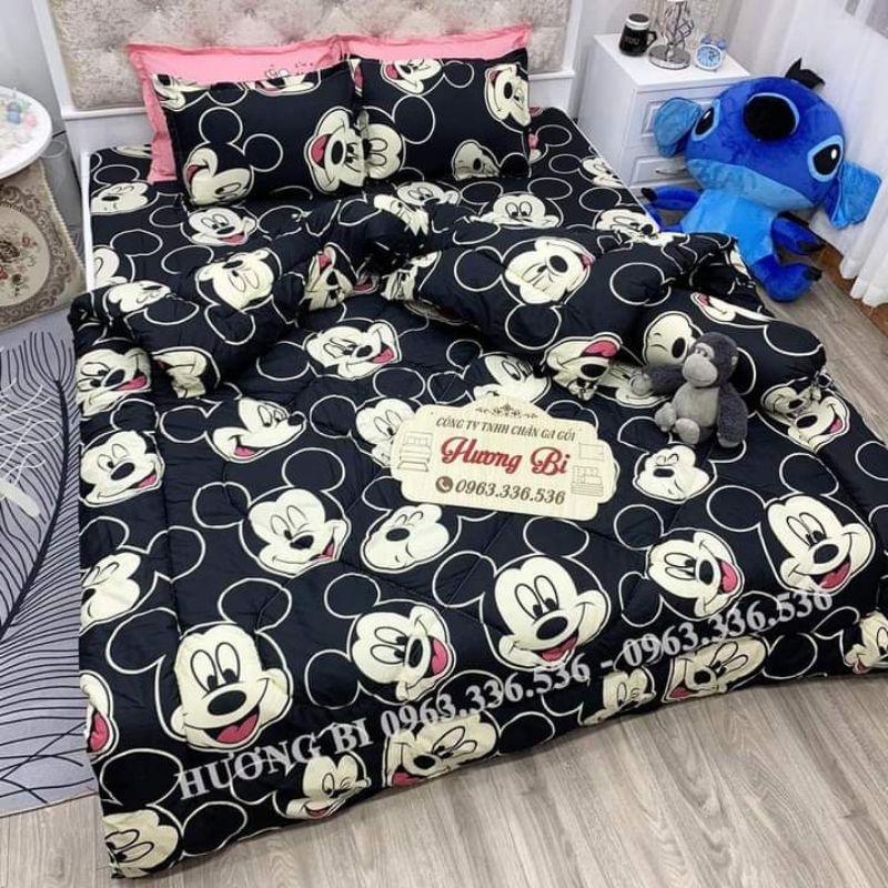 Trọn bộ 5 món ga gối chăn phao poly cotton có ruột bông dày loại 1