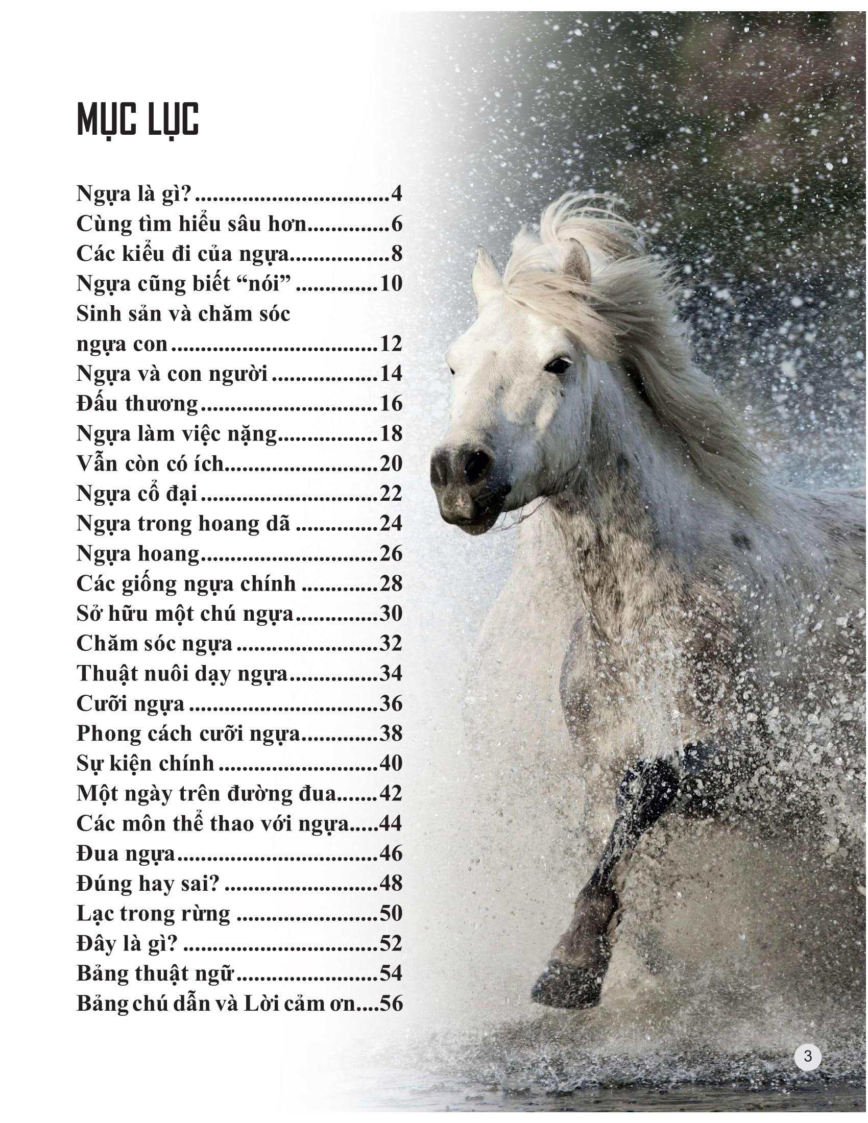 Sách Bách Khoa Tri Thức Về Khám Phá Thế Giới Cho Trẻ Em - Horses And Ponies - Loài Ngựa