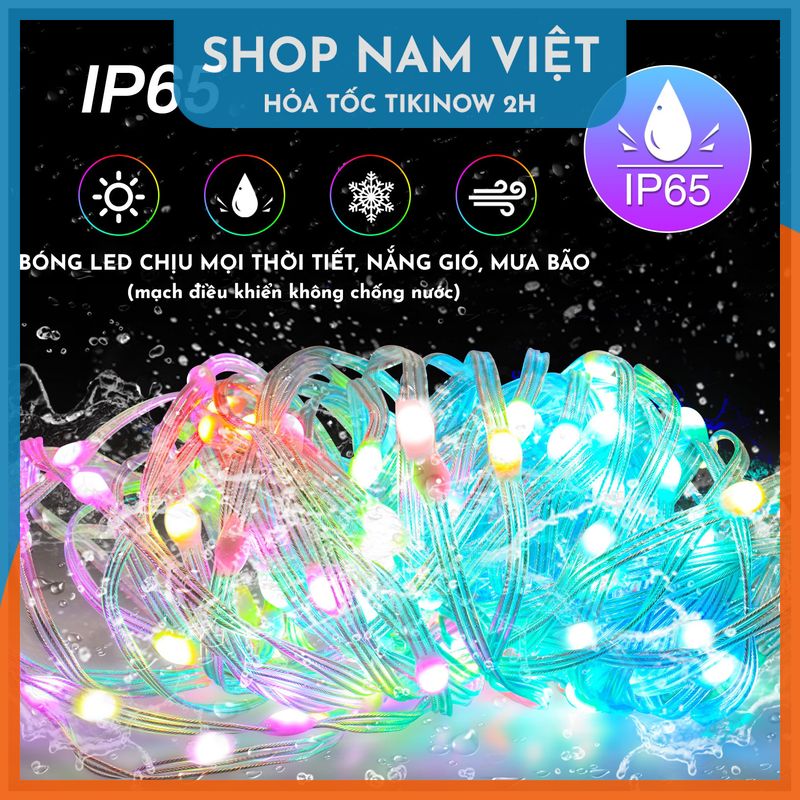 Led Đuổi Hạt Gạo RGB Quấn Cây Trang Trí Ngoài Trời Cảm Nhạc, Điều Khiển APP + Remote