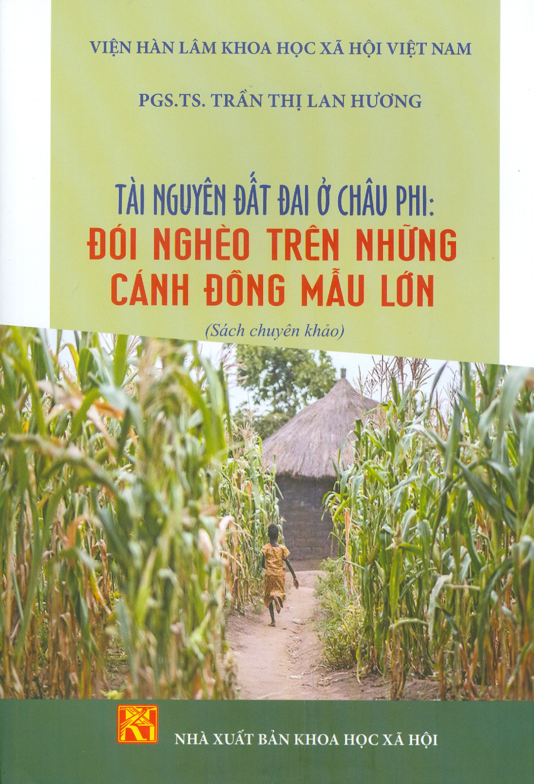 Tài Nguyên Đất Đai Ở Châu Phi: Đói Nghèo Trên Những Cánh Đồng Mẫu Lớn (Sách chuyên khảo)