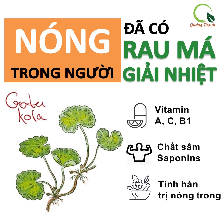 Bột rau má sấy lạnh Quảng Thanh, bịch 50gr - Giải độc, mát gan, thanh nhiệt cơ thể, giảm mụn, đẹp da