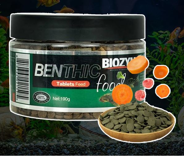 Thức ăn cá Biozym Benthic Food Tablet viên tảo chìm tầng đáy bể cá tép cảnh