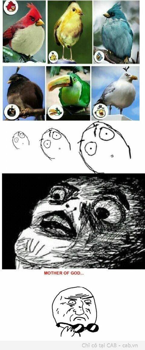 rage comic-troll chapter 42 3