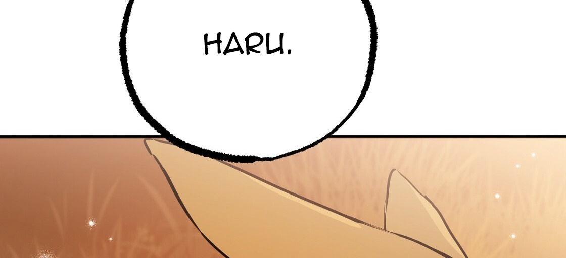 đàn thỏ của habibi chapter 23 328