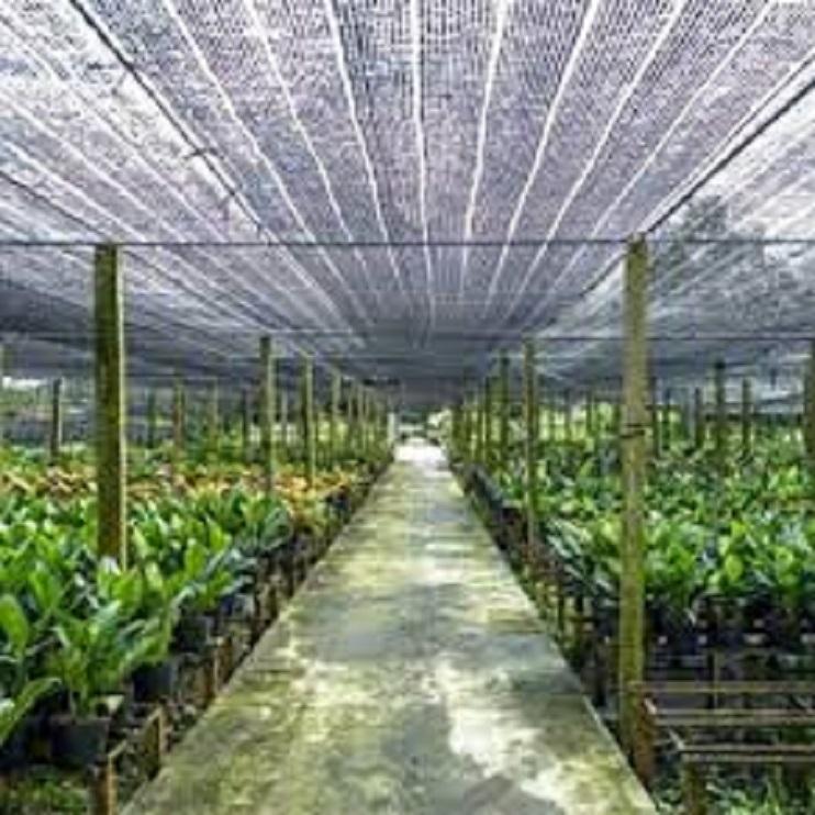 Lưới Che Nắng Thái Lan 70% - Khổ Rộng m
