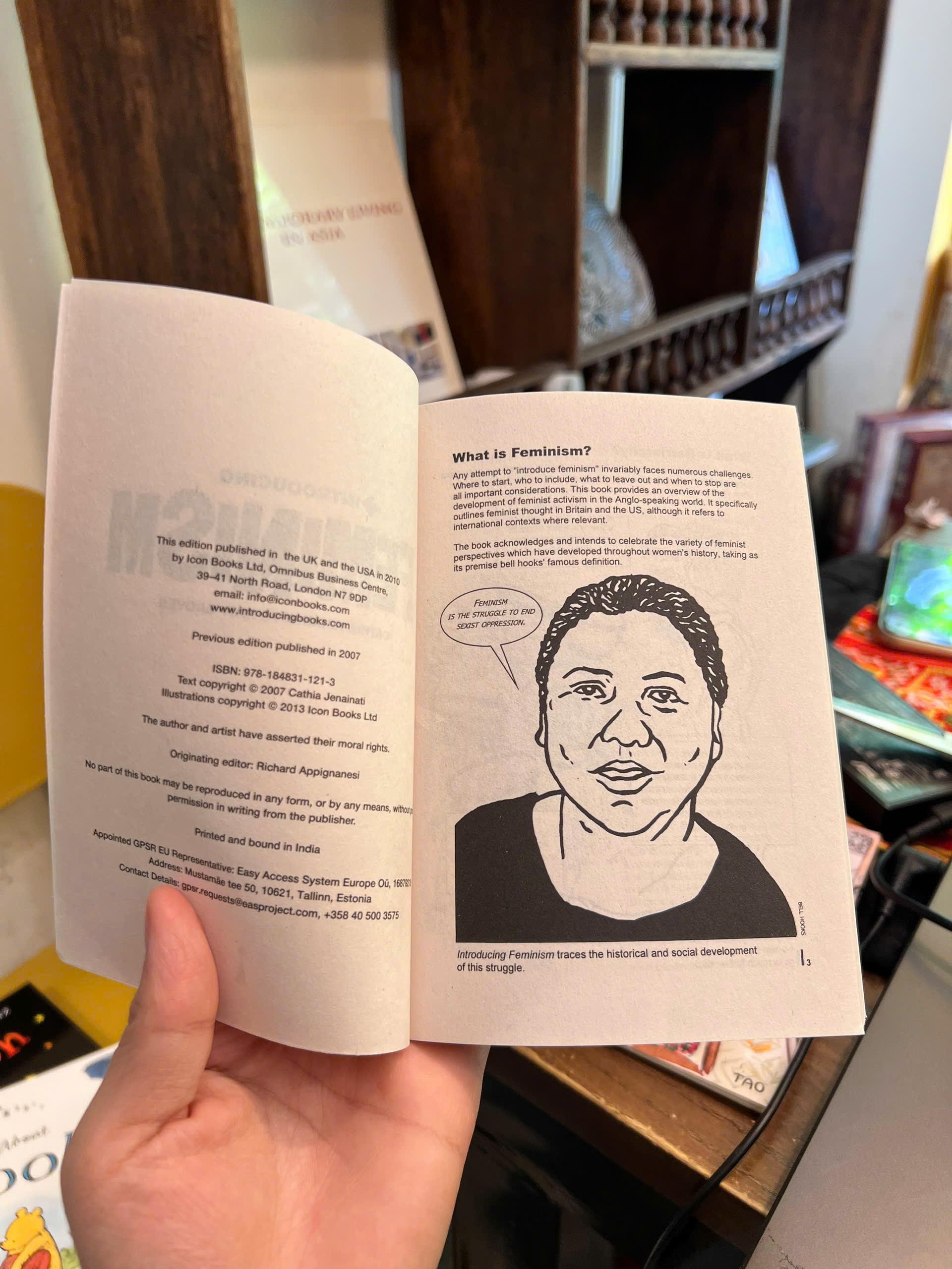 Sách - Introducing Feminism: A Graphic Guide | Nonfiction / History / Ngoại văn Nhập khẩu / Nữ quyền