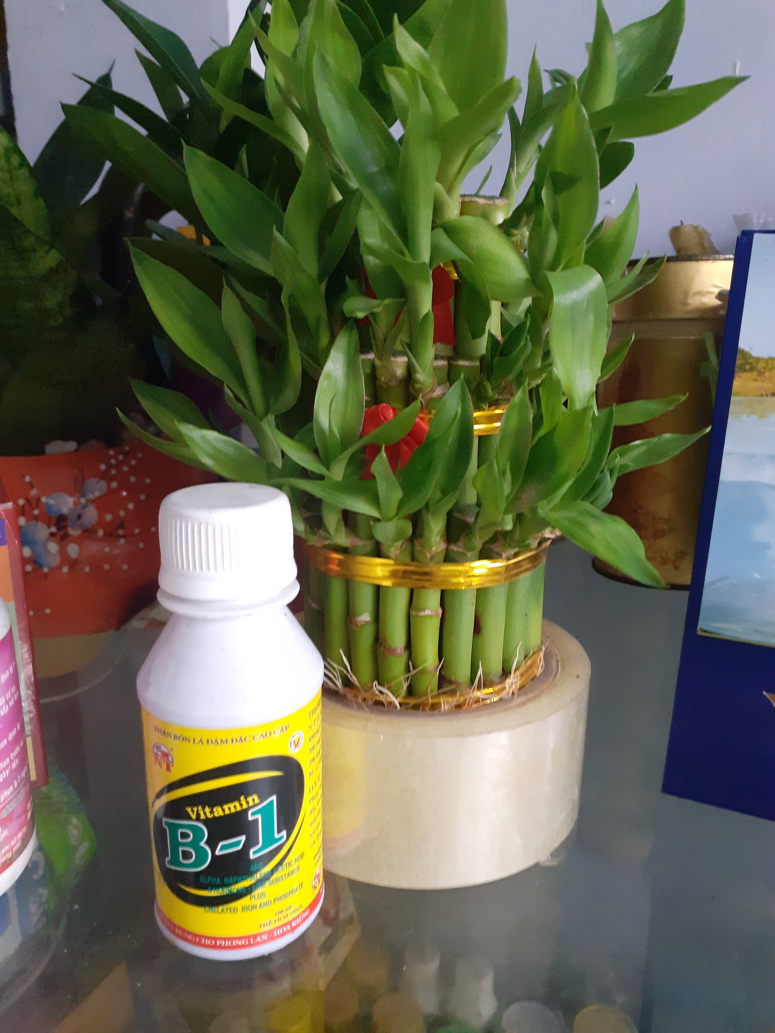 Chai 100ml ra rễ cực mạnh vitamin B1.