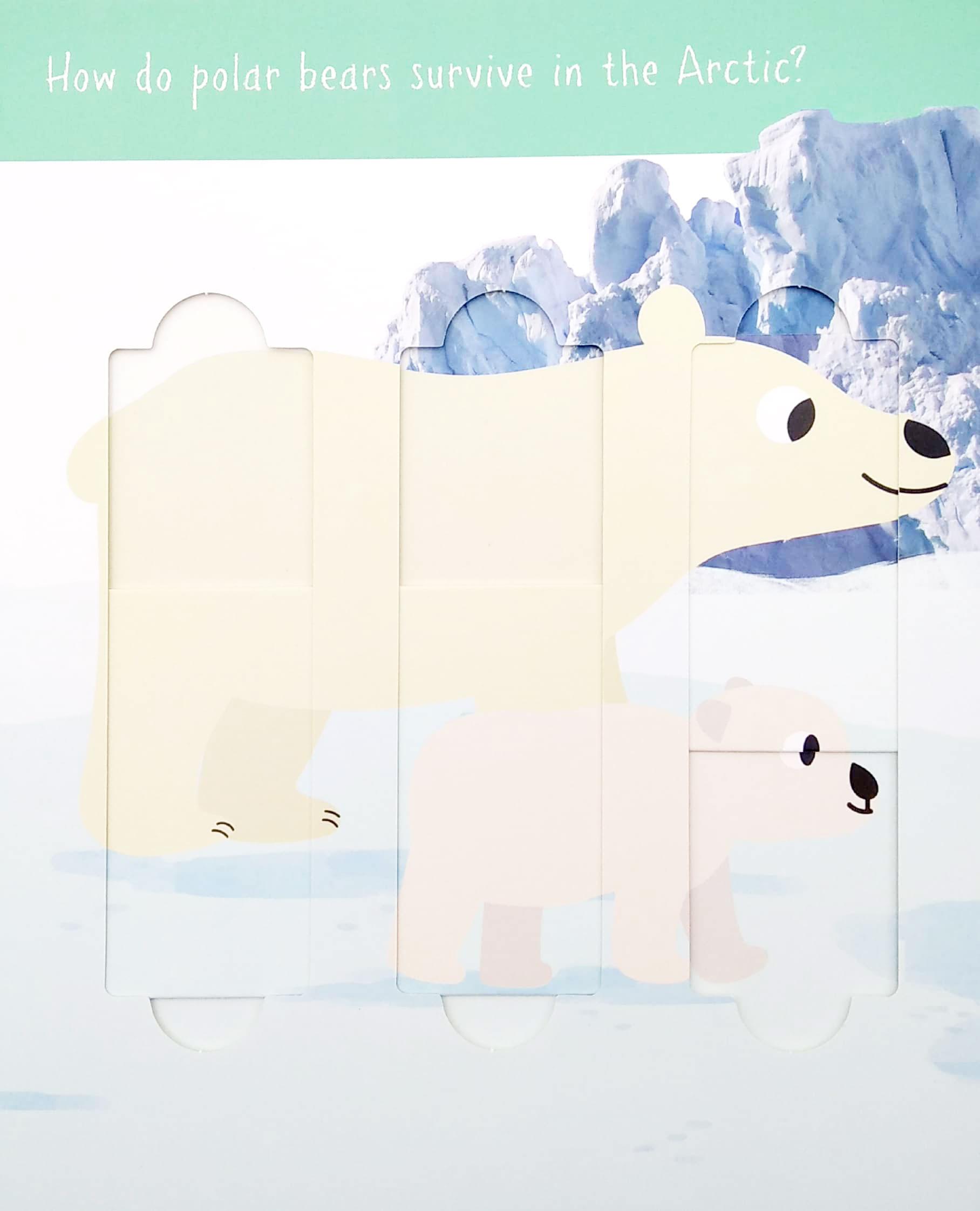 Little Wonders: Polar Animals - 5 Puzzles