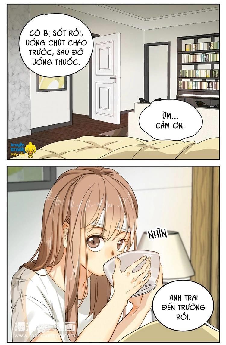 cứu mạng ! loài mèo thống trị thế giới rồi ! chapter 14 8