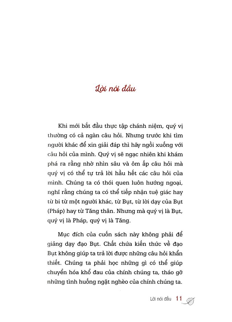 Hỏi Đáp Từ Trái Tim (Tái Bản)