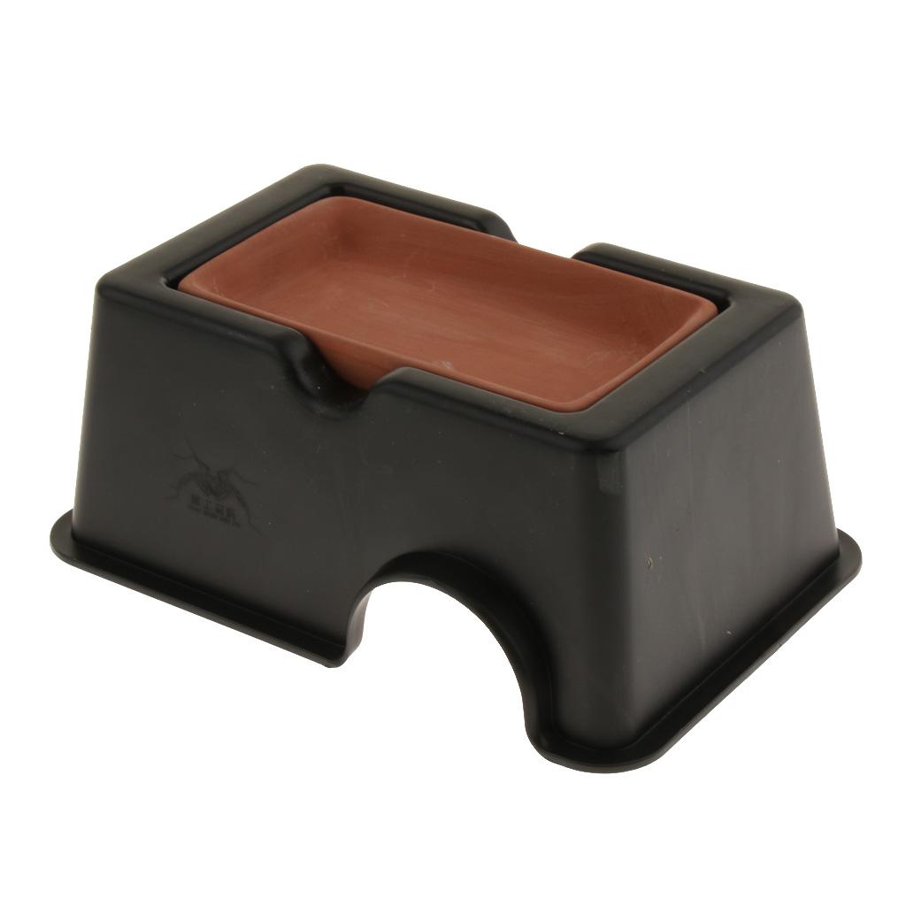 Reptile Humidify Cave Terrarium House for Snake Spider