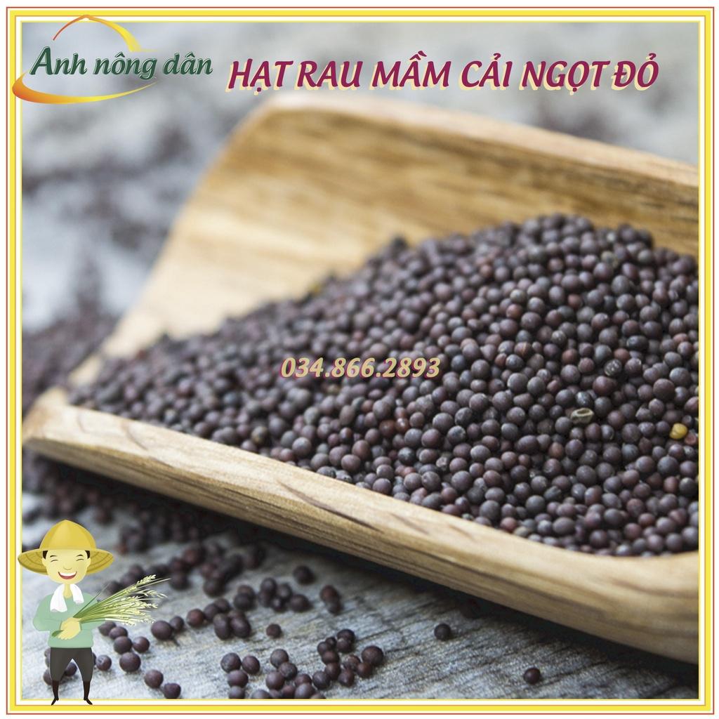 Gói 50g Hạt rau mầm rau cải ngọt đỏ - Hạt rau chất lượng cao, nảy mầm tốt