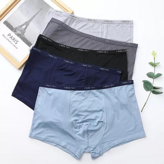 Hộp 5 Quần Lót Đùi Boxer Nam Tính Cotton Cao Cấp