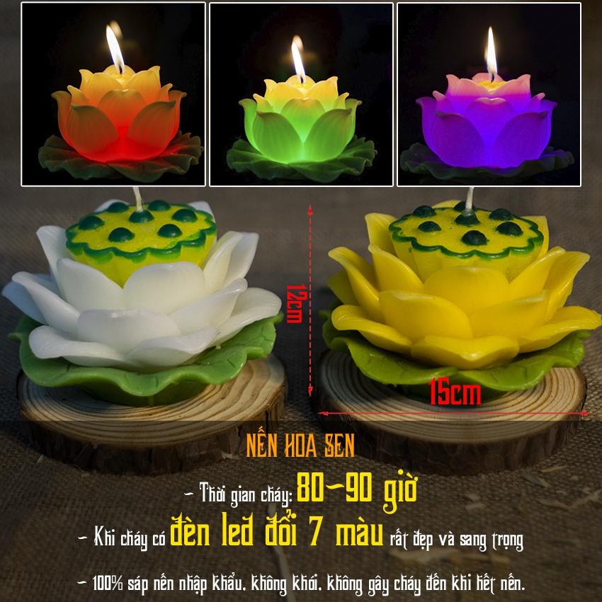Nến hoa sen lớn - nến hoa thờ phật - nến bông sen trang trí cao cấp candle shop