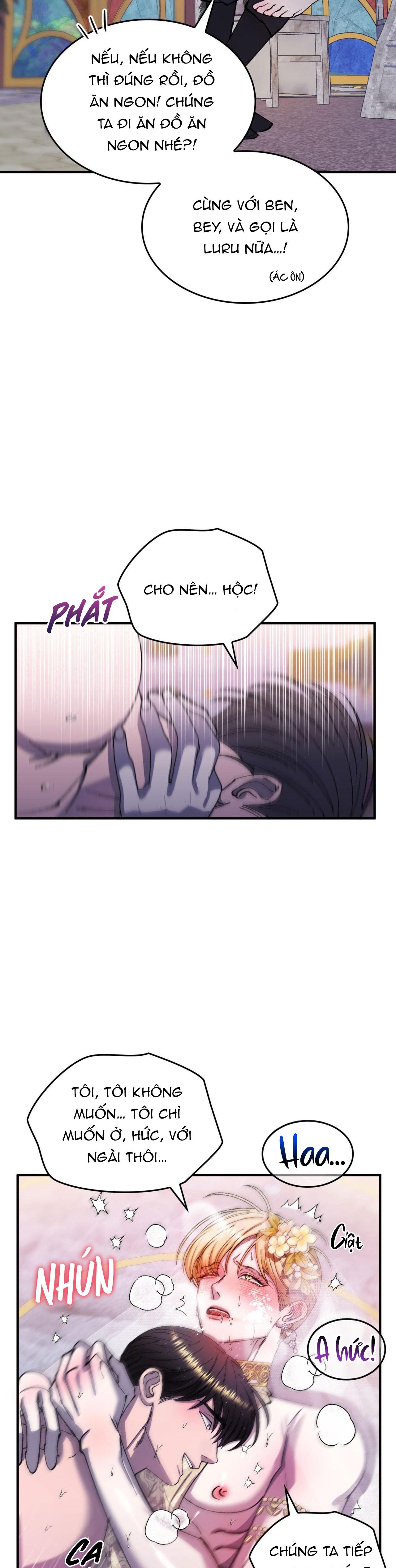 (np) độc thân muôn năm chapter 41 13