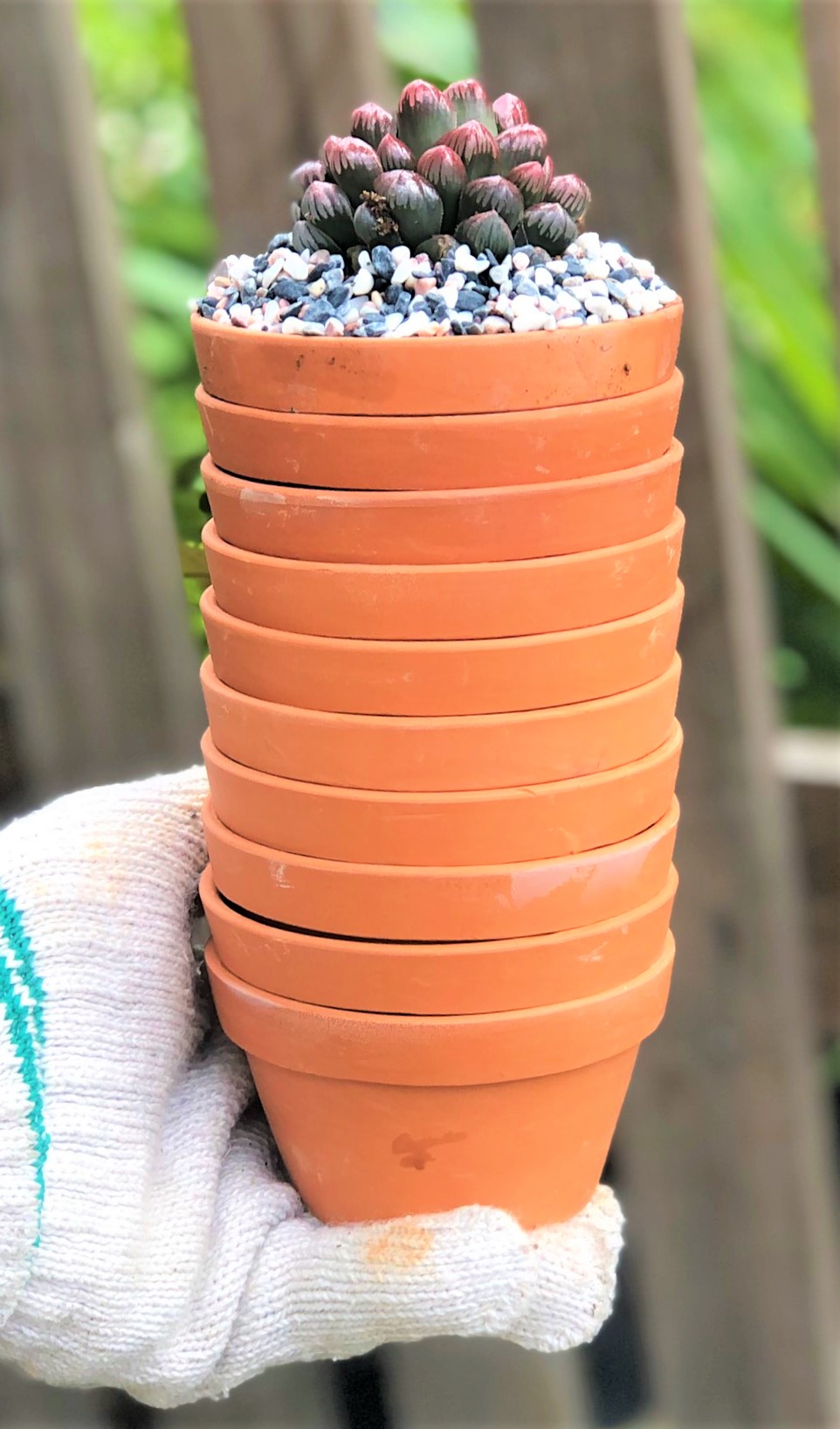 Bộ 10 chậu đất nung trồng xương rồng sen đá Rộng 9 cm x Cao 5,5 cm