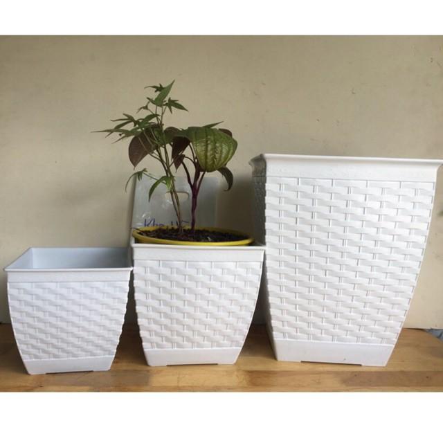 Combo 2 Chậu Nhựa Vuông Trắng Dàng Cao Rất Dày - Trồng Hoa Kiểng Tuyệt Đẹp