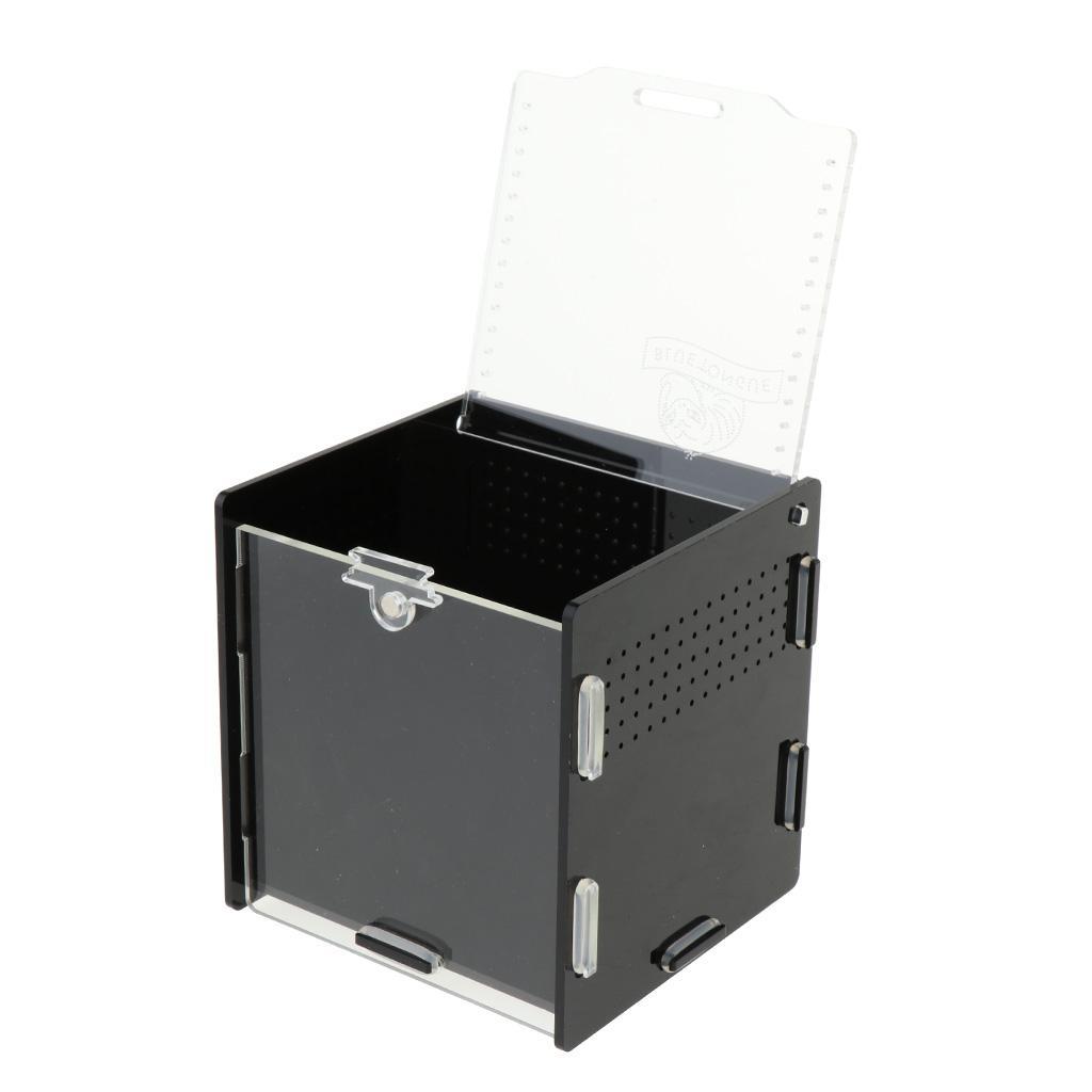 Reptile Vivarium Terrarium