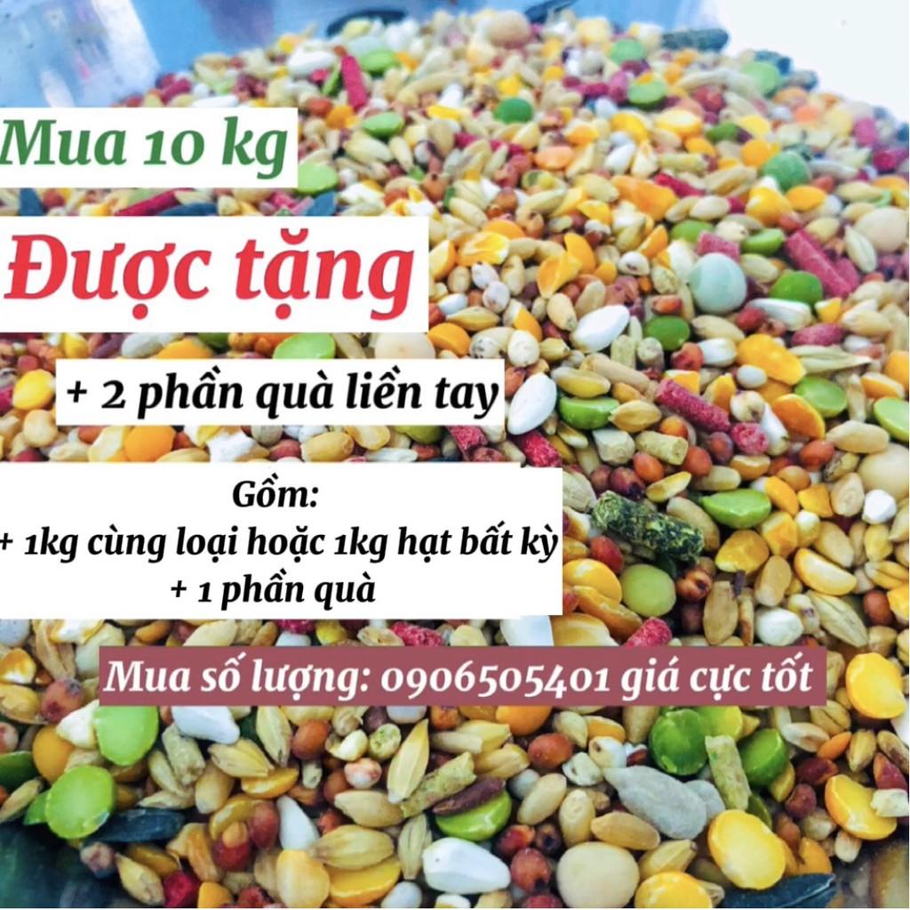 Ngũ cốc gà đá , thức ăn tăng bo chiến kê