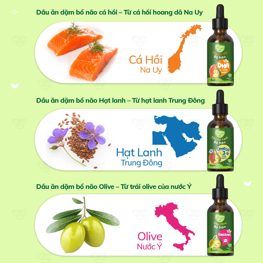 Combo dinh dưỡng toàn diện cho bé Mămmy bao gồm set 9 hạt quý, 2 hộp phô mai, 3 dầu 30ml, bột yến mạch và bột thịt bò