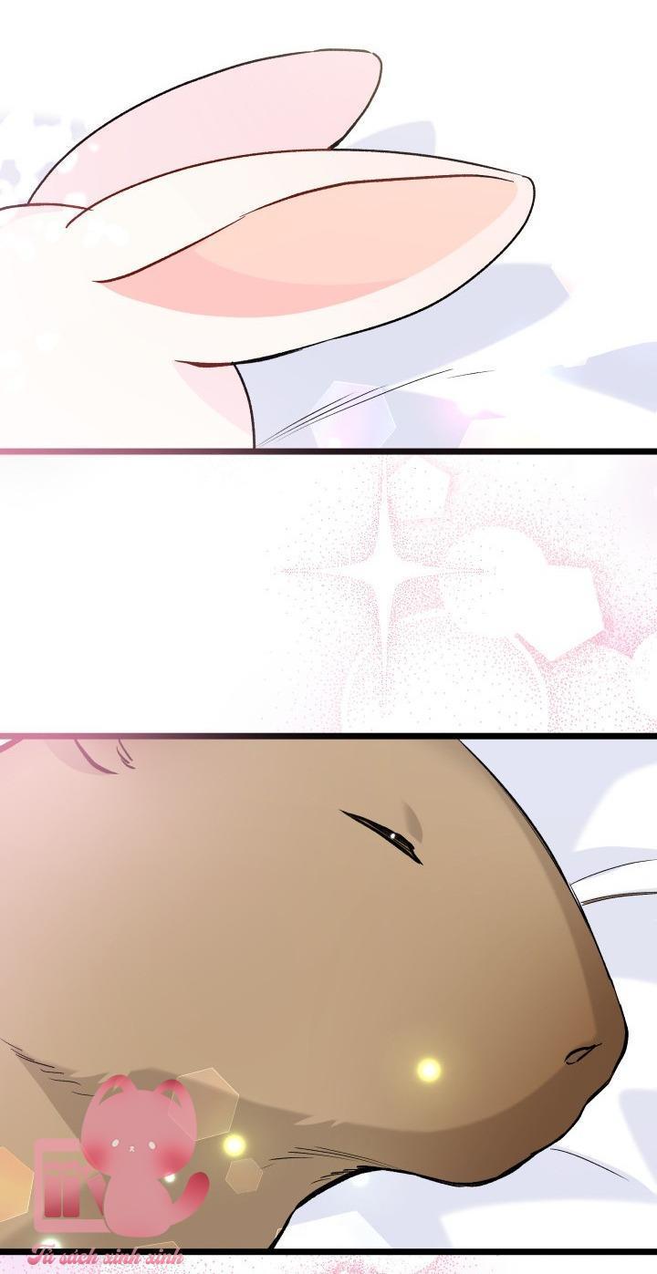 quan hệ cộng sinh giữa báo đen và thỏ trắng chapter 122 52