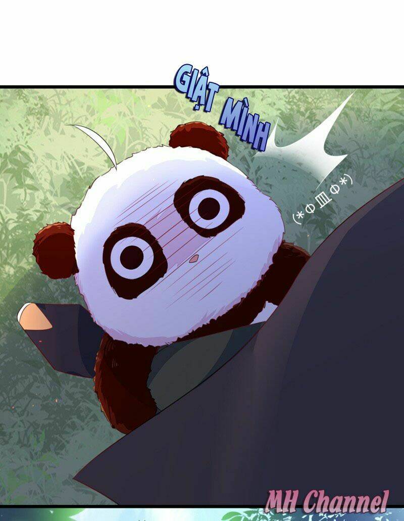 thiên thần gấu trúc muốn được ôm chapter 5 10