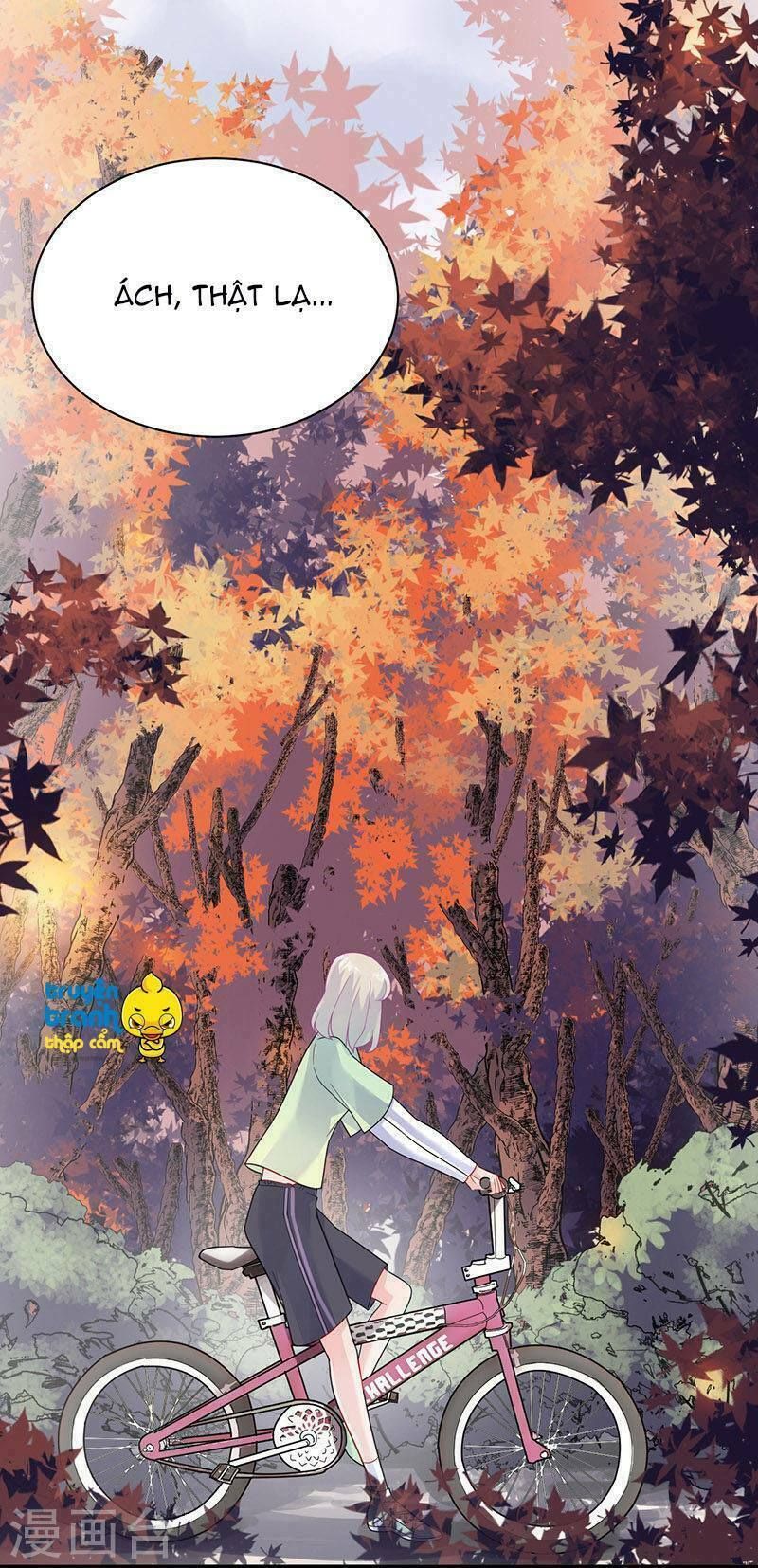 chọc tới chủ tịch tổng tài 2 chapter 63 2