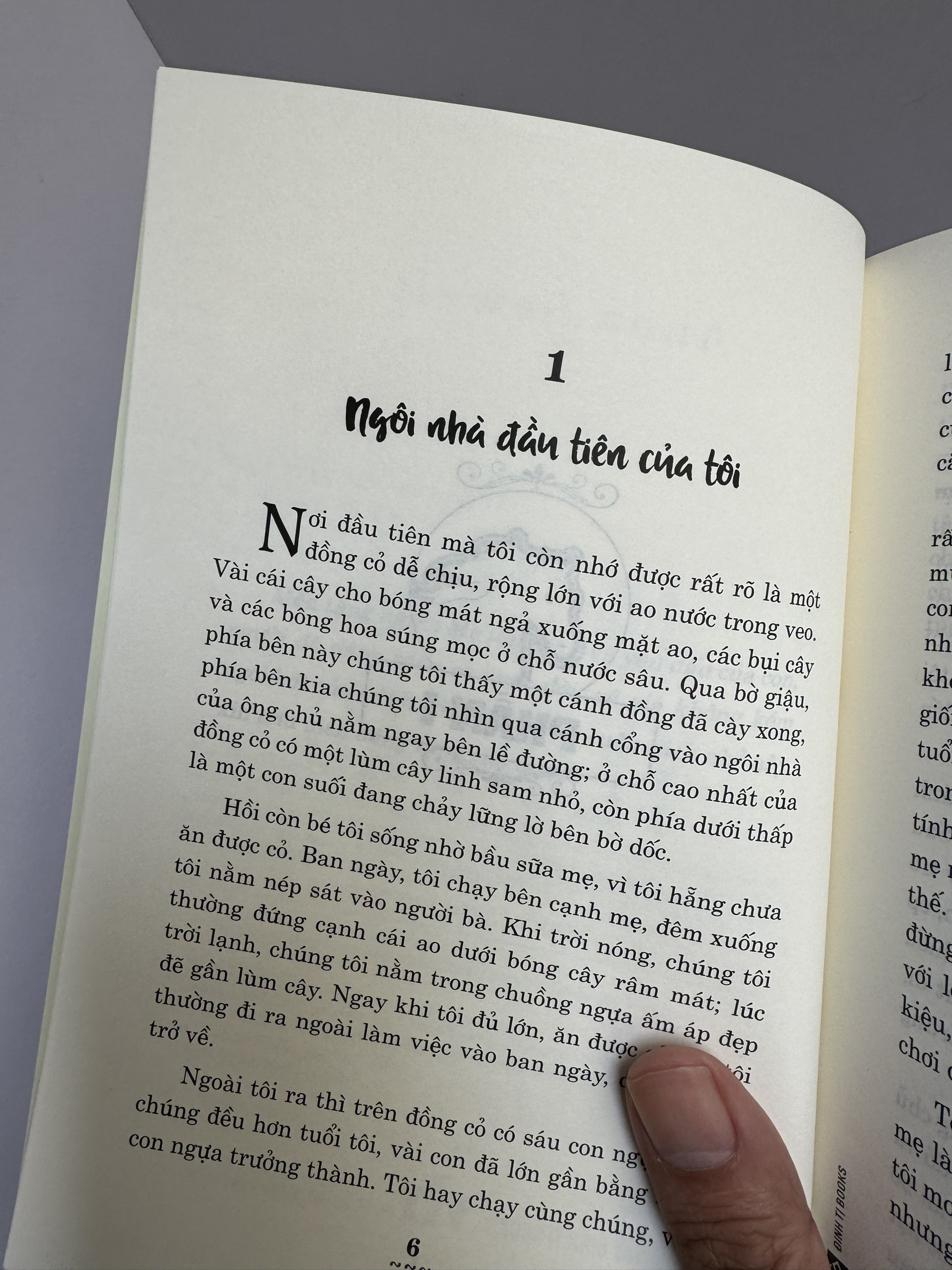 NGỰA Ô YÊU DẤU - Anna Sewell - Nguyễn Quang Huy - Đinh Tị - NXB Văn Học.