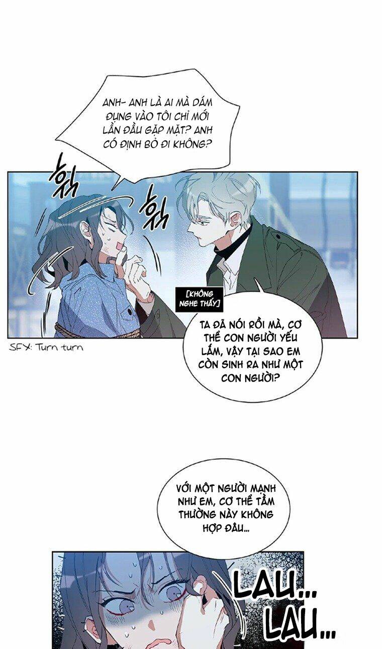 angel's use chapter 1 40