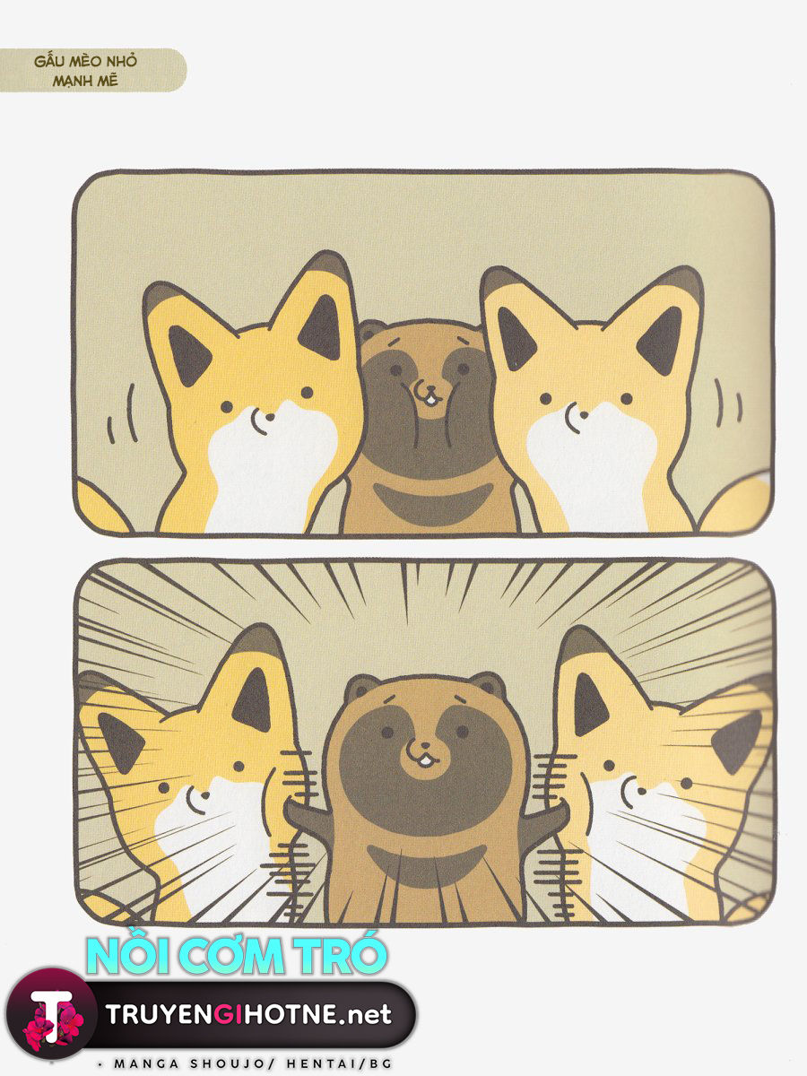 cáo và gấu mèo chapter 4 8