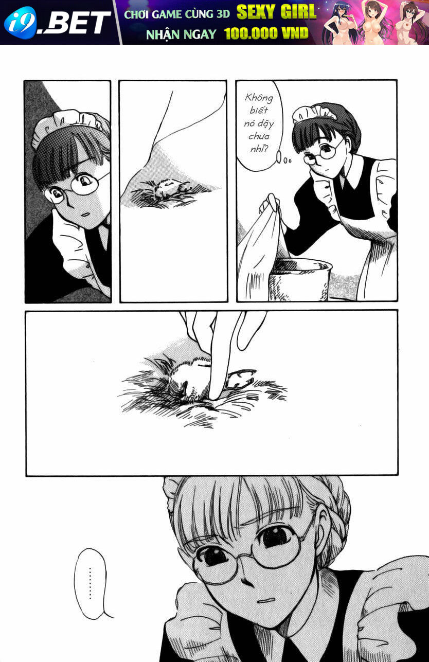 shirley chapter 6 27