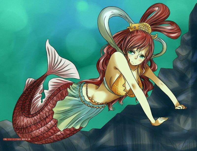 đảo hải tặc - one piece chapter 652 19
