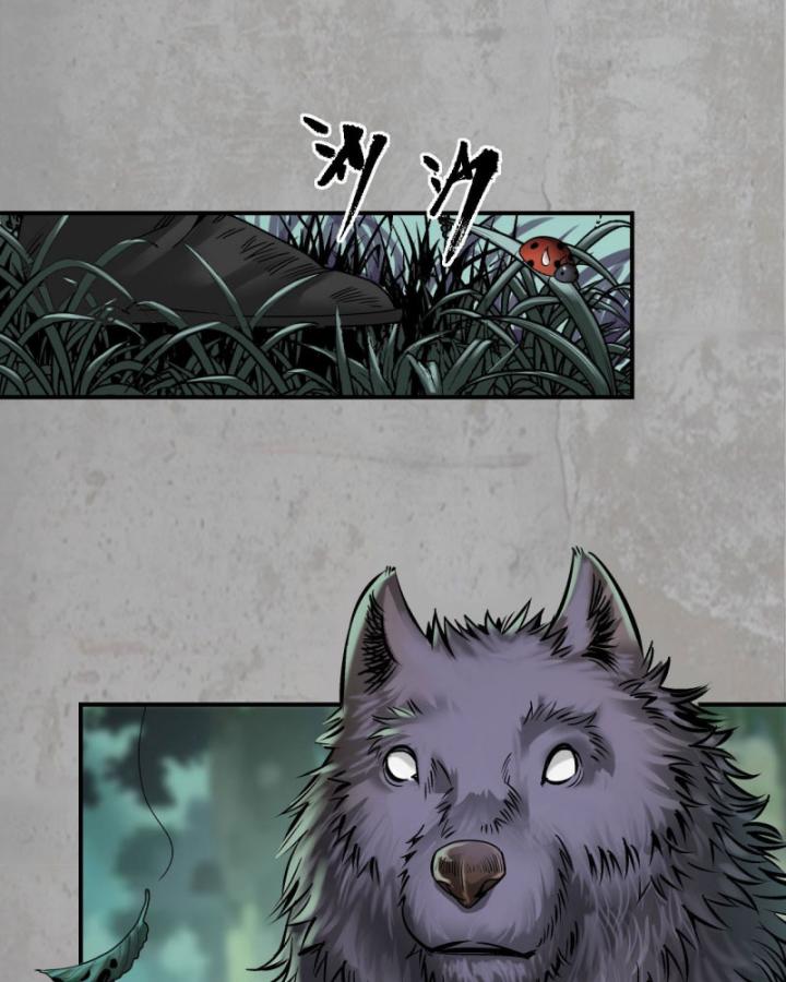 Tạng Phong Hành chapter 195 28