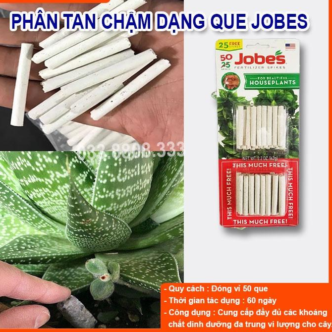 PHÂN BÓN QUE JOBES DÀNH CHO HOA LAN CÂY CẢNH