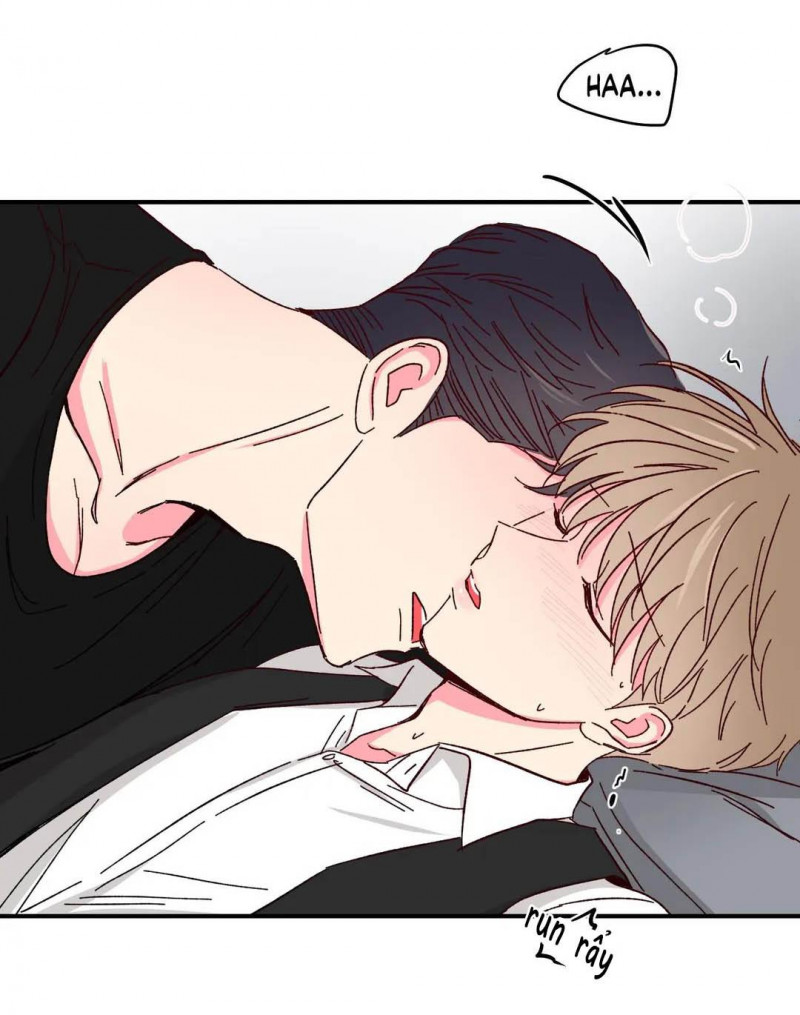 món tráng miệng của sếp tổng chapter 45 28