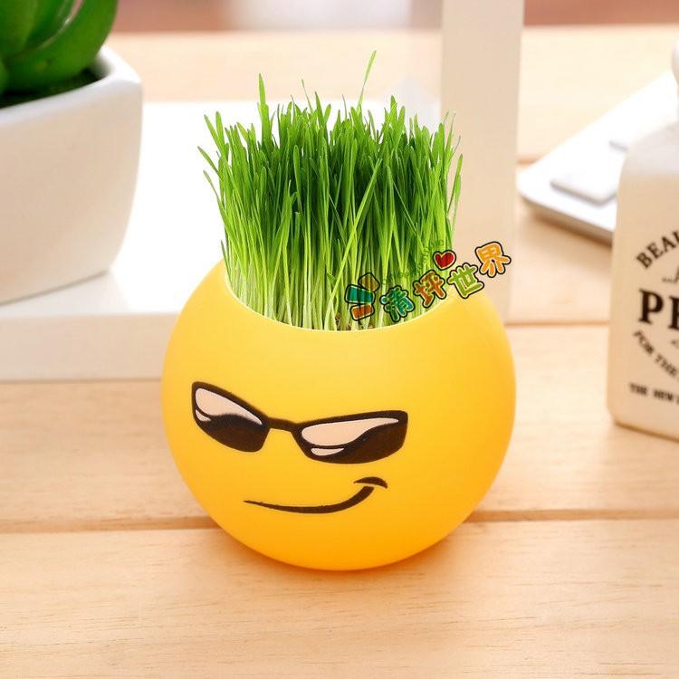 Chậu cây cảnh mini hình mặt cười đáng yêu, Emojji đẹp, chậu cây hình em bé baby xinh, tặng kèm đất và hạt giống cỏ tóc