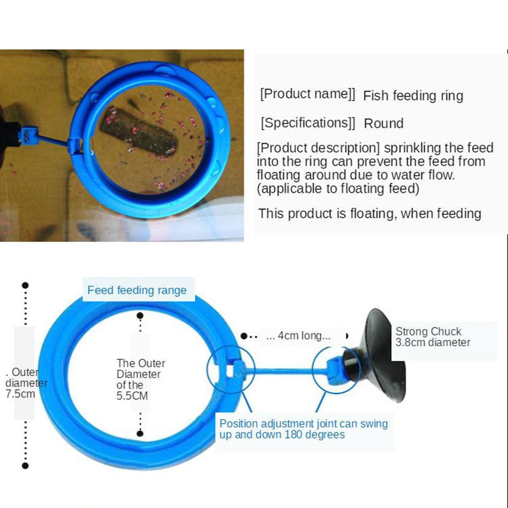 Fish Food Feeding  Aquarium Feeding Circle  Fish Tank Fish Feeder