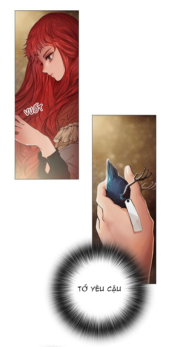 tôi chính là nhà sưu tập chim chapter 17 3