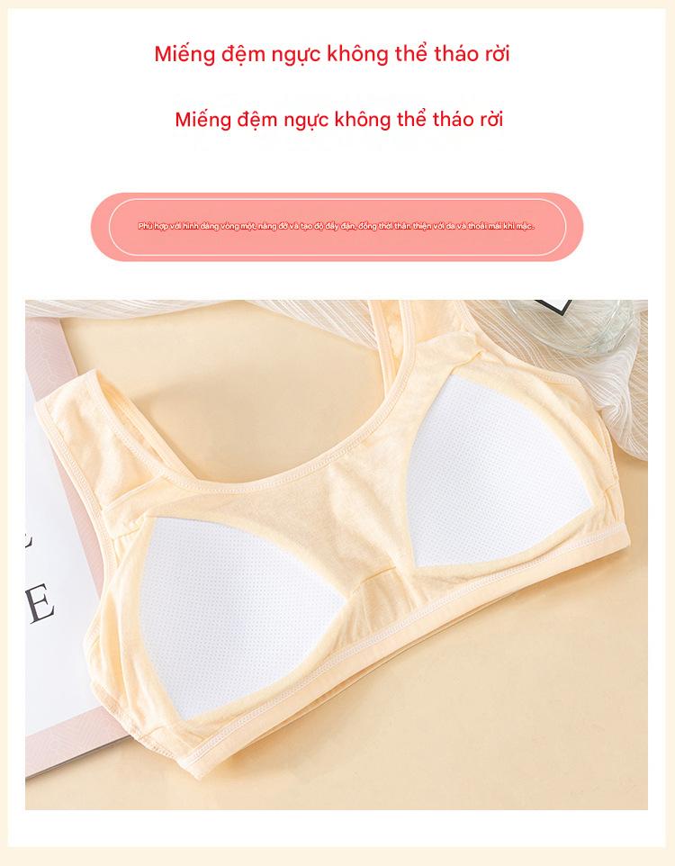 Áo Bra Cotton Mút Liền Dành Cho Học Sinh 1395 – Êm Mềm, Thoáng Khí, Nâng Đỡ Tự Nhiên