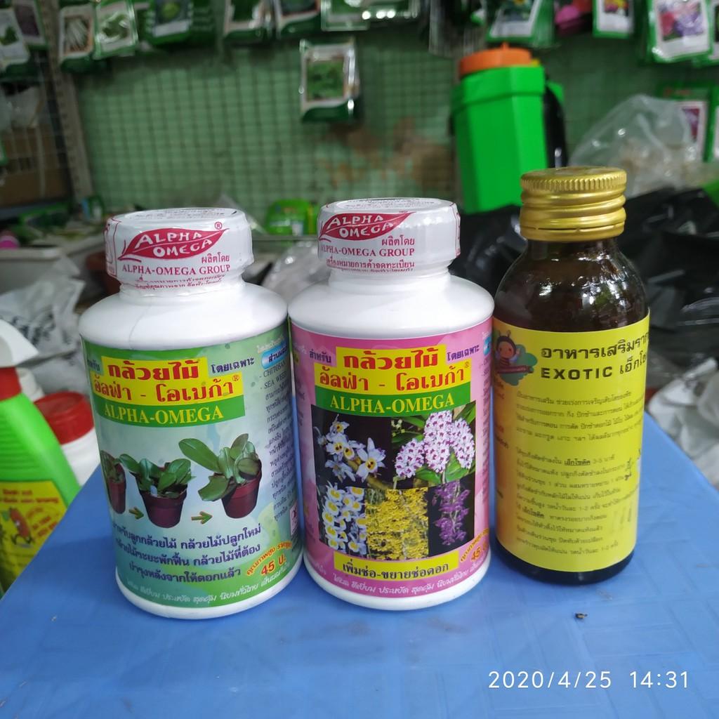 Combo 3 sản phẩm kích rễ, kích mầm, kích hoa cao cấp Thái Lan dành cho hoa lan