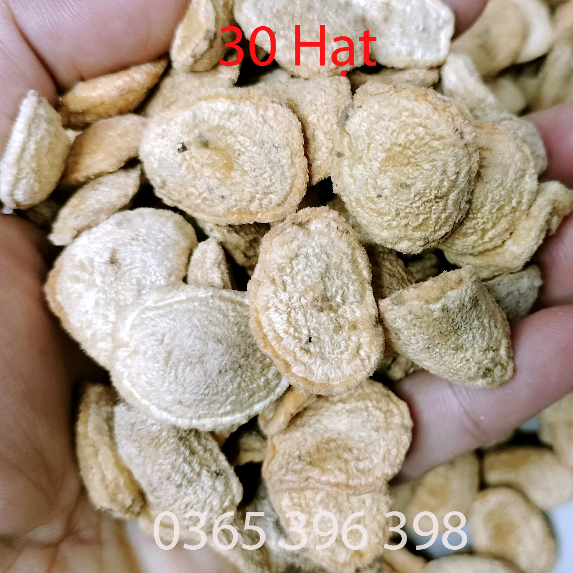 Hạt sành hạt sang trắng hạt dạ dày giải quyết vấn đề dạ dày đại tràng 30