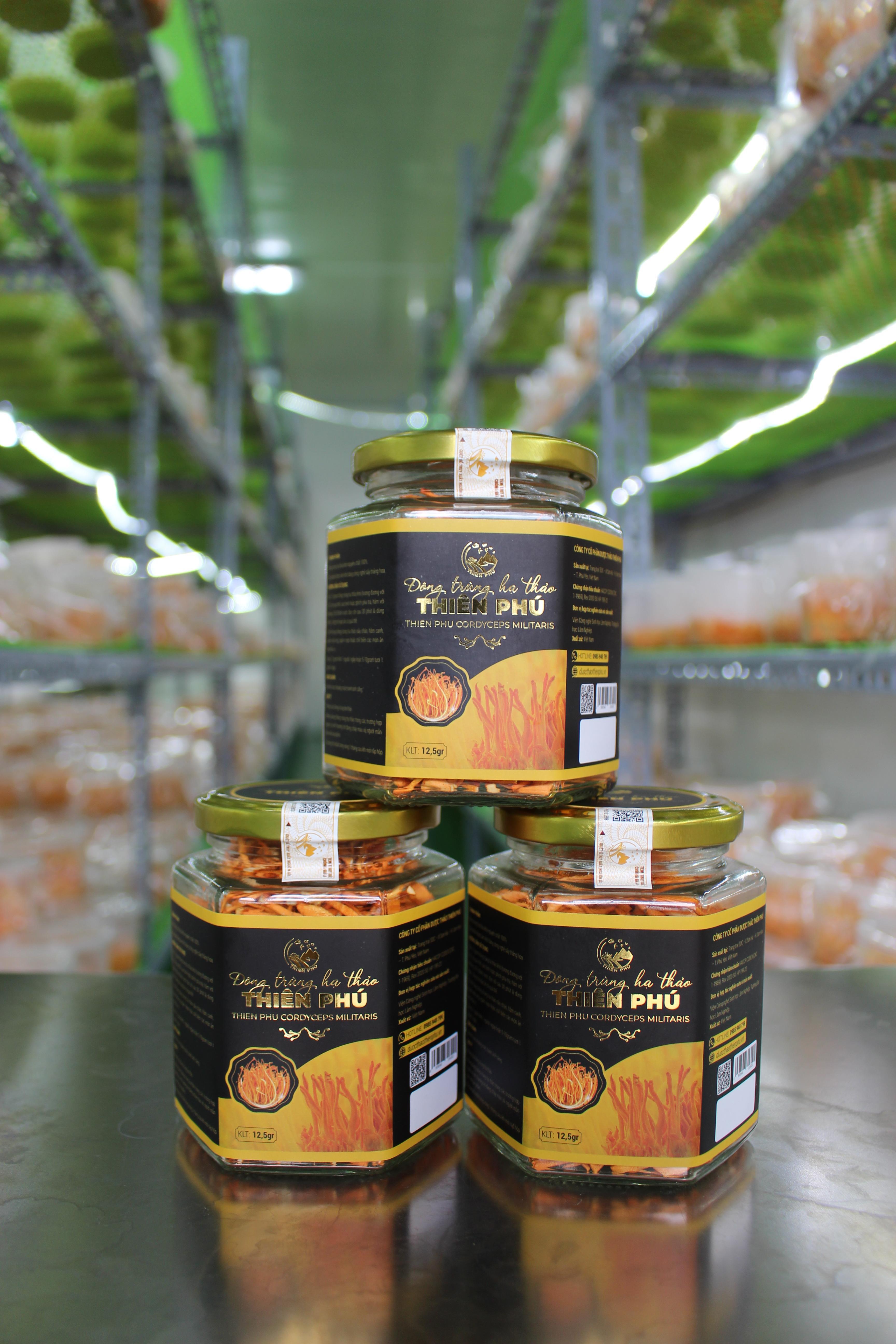 Đông trùng hạ thảo sấy thăng hoa