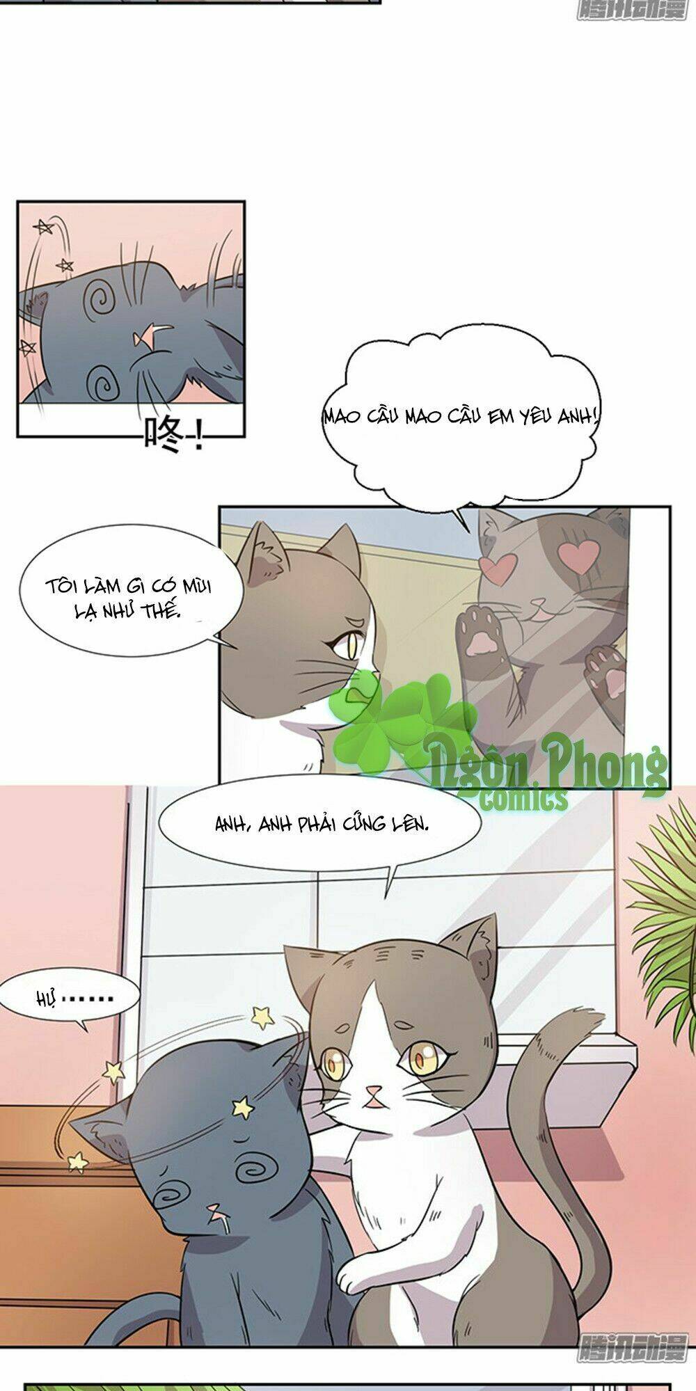 hai chú mèo totem chapter 26 10